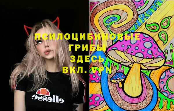 сатива Алзамай