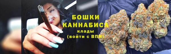 PSILOCYBIN Алексеевка
