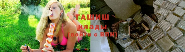 сатива Алзамай