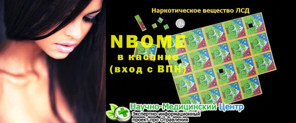 сатива Алзамай