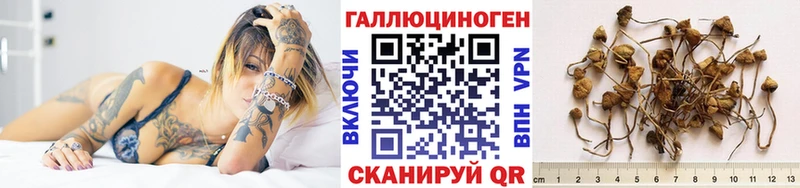 Псилоцибиновые грибы ЛСД Краснообск