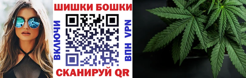Конопля планчик  Краснообск 